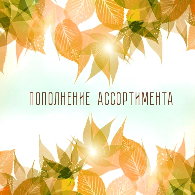  ЗОЛОТАЯ ОСЕНЬ